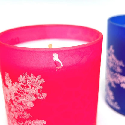 DIOR Miscellaneous Goods Twirldujuy Candle Set Ceramic Multi-colored