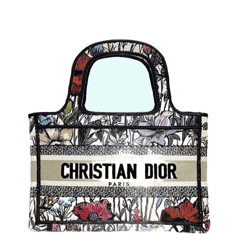 Christian Dior Mini Tote Bag Book Tote Mini Multicolor
