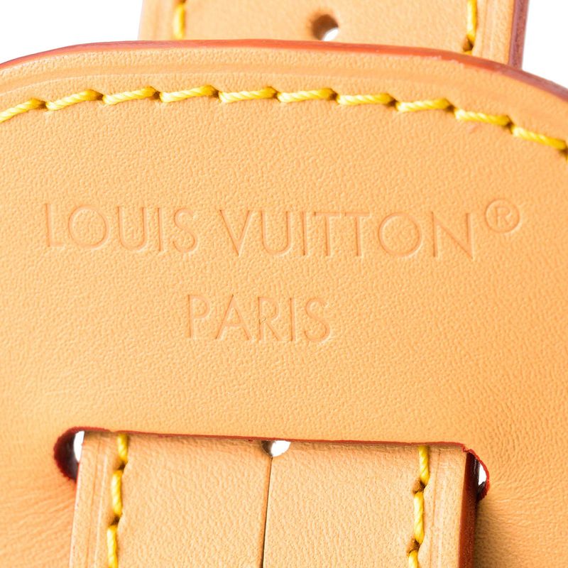 Louis Vuitton All In GM Brown Tote Bag