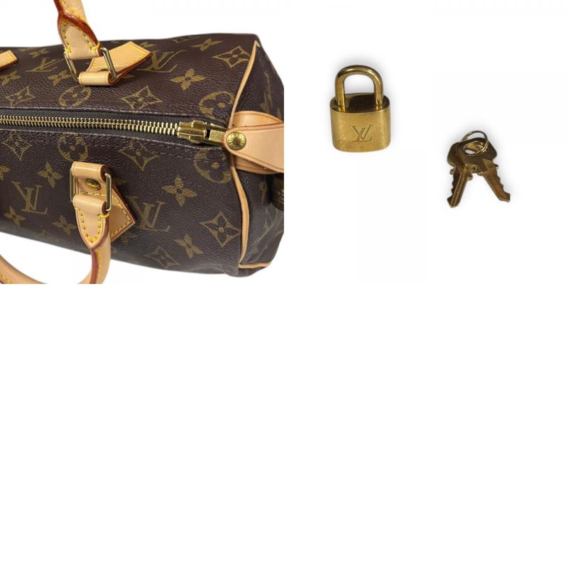 Louis Vuitton Speedy 25 Monogram Handbag Monogram Canvas M41528 Brown Women