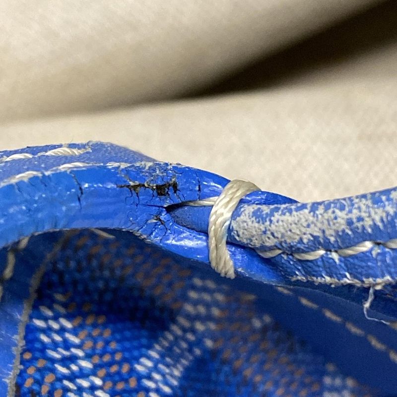 Goyard Saint Louis PM Blue×white×multi Leather