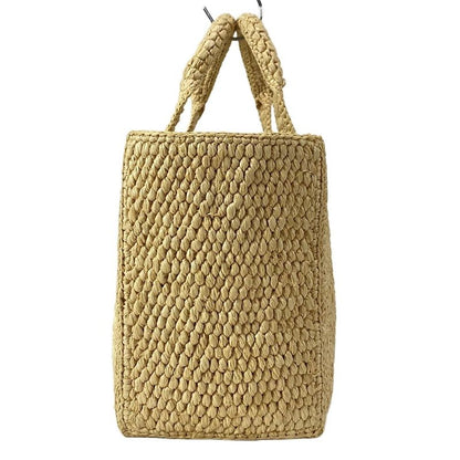 Celine Tote Bag Small Cabas Tais Beige And White Bag