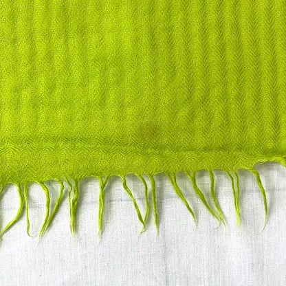 Hermes Shawl Light Green Excellent Condition Cleaned 80% Cashmere