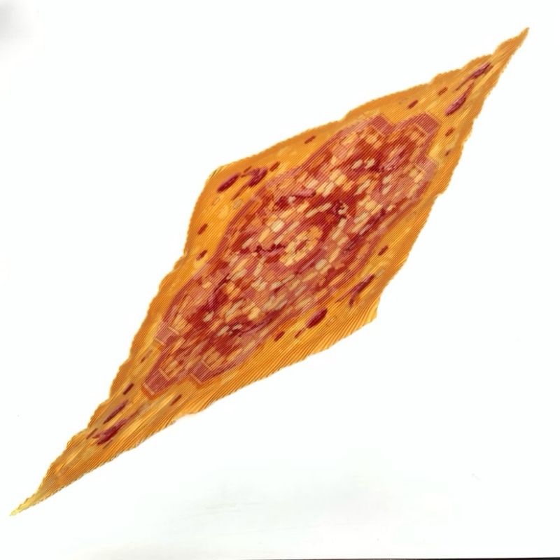 Grade Hermes SOUS LES Orangers Under The Orange Tree Pleated Scarf