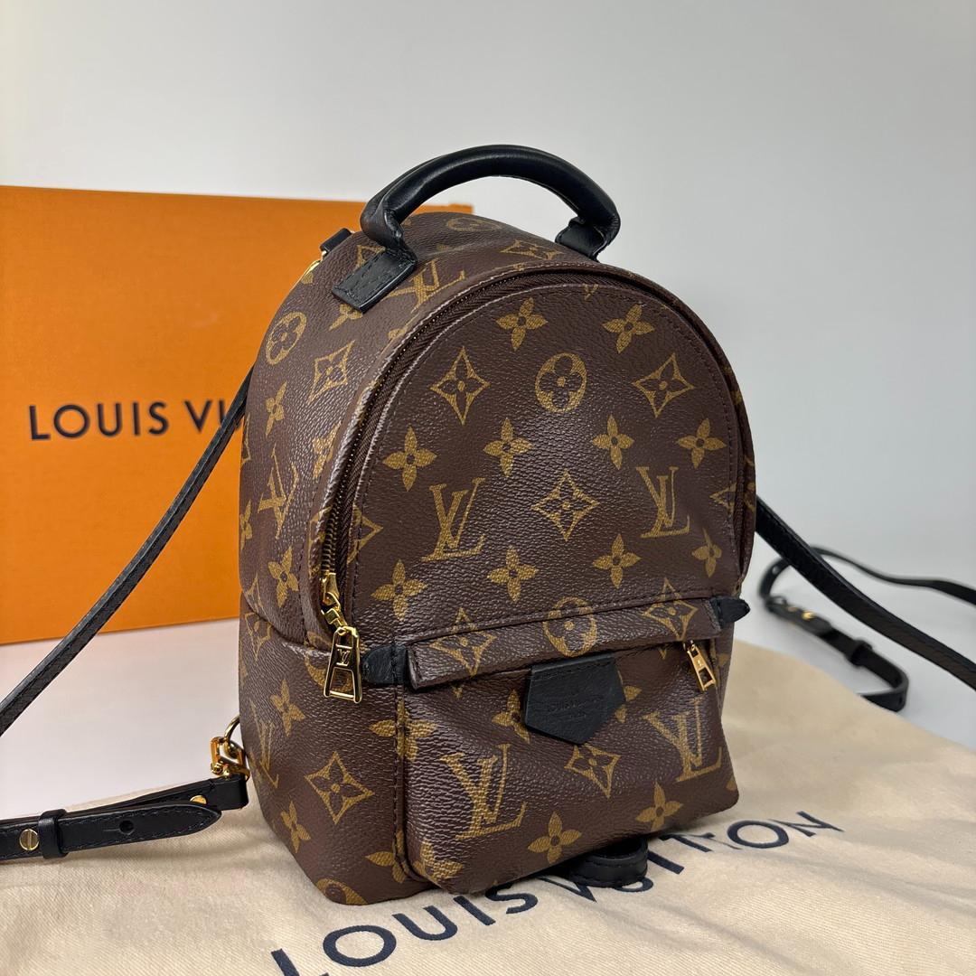 Louis Vuitton Palm Springs Mini Backpack Monogram — view 2