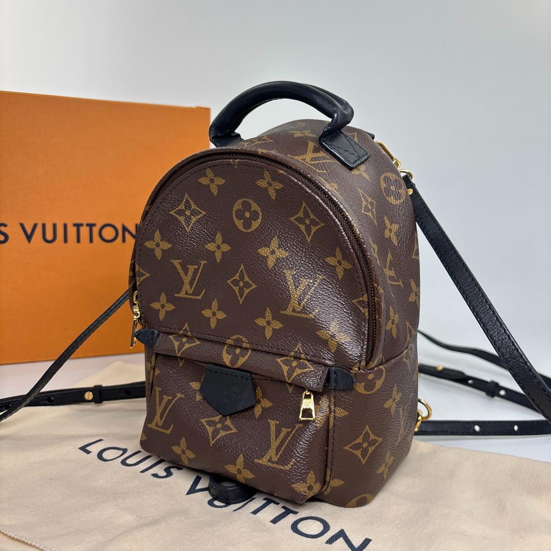 Louis Vuitton Palm Springs Mini Backpack Monogram — view 3
