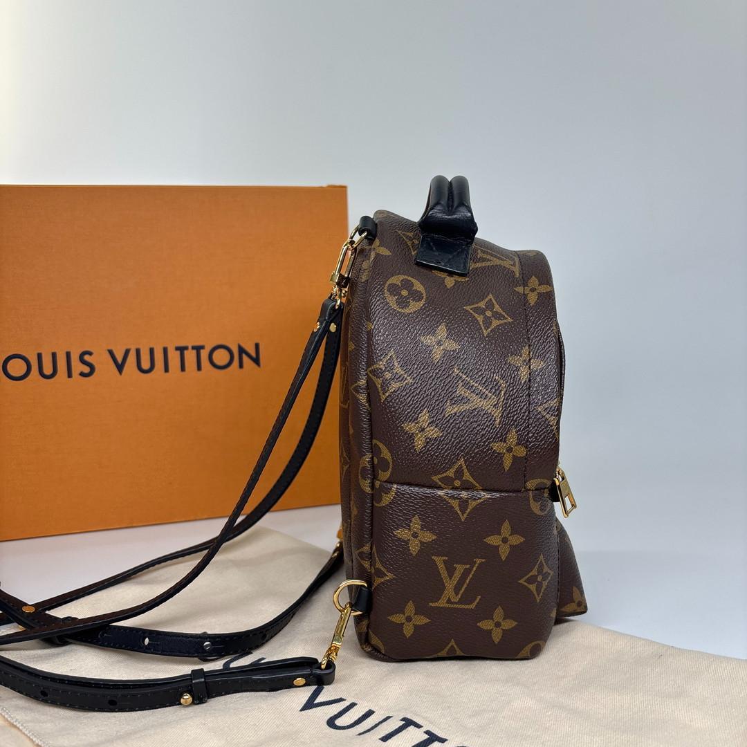 Louis Vuitton Palm Springs Mini Backpack Monogram — view 4