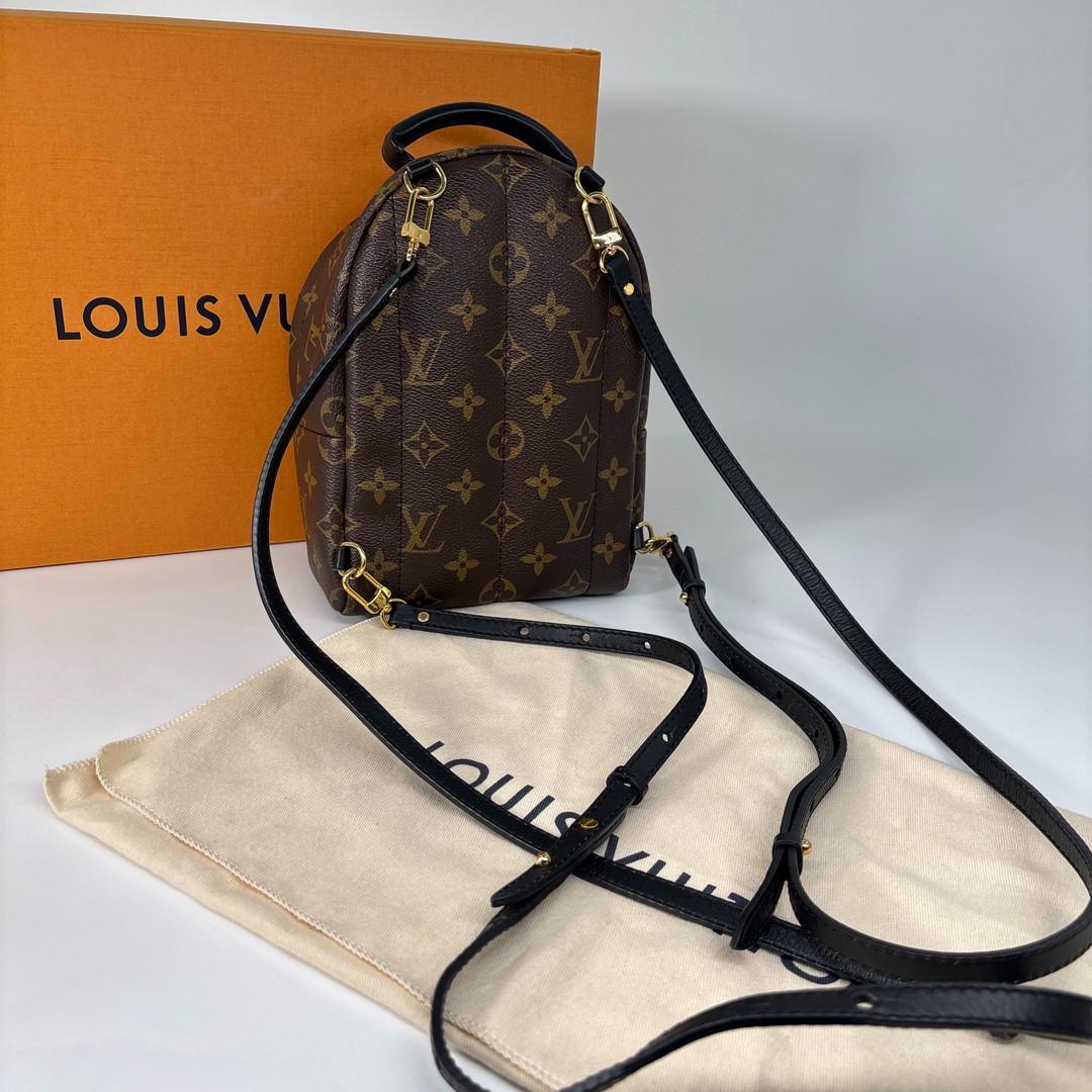 Louis Vuitton Palm Springs Mini Backpack Monogram — view 5