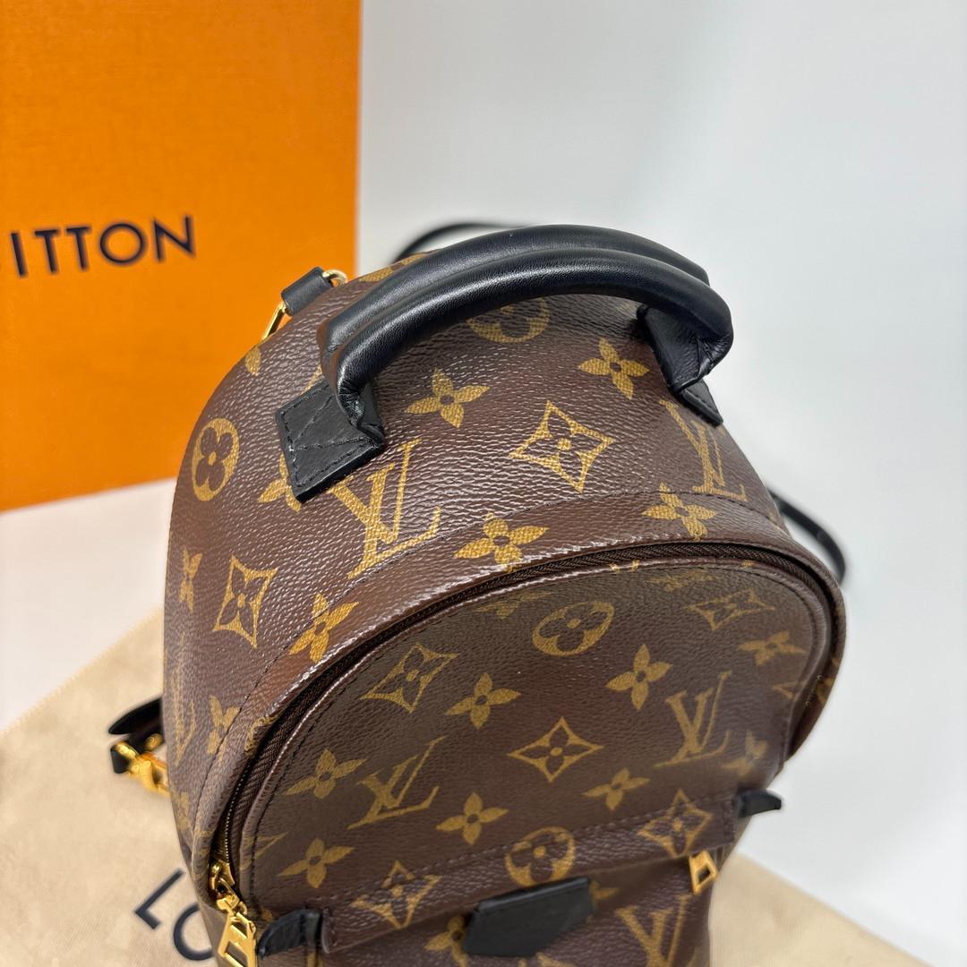 Louis Vuitton Palm Springs Mini Backpack Monogram — view 6