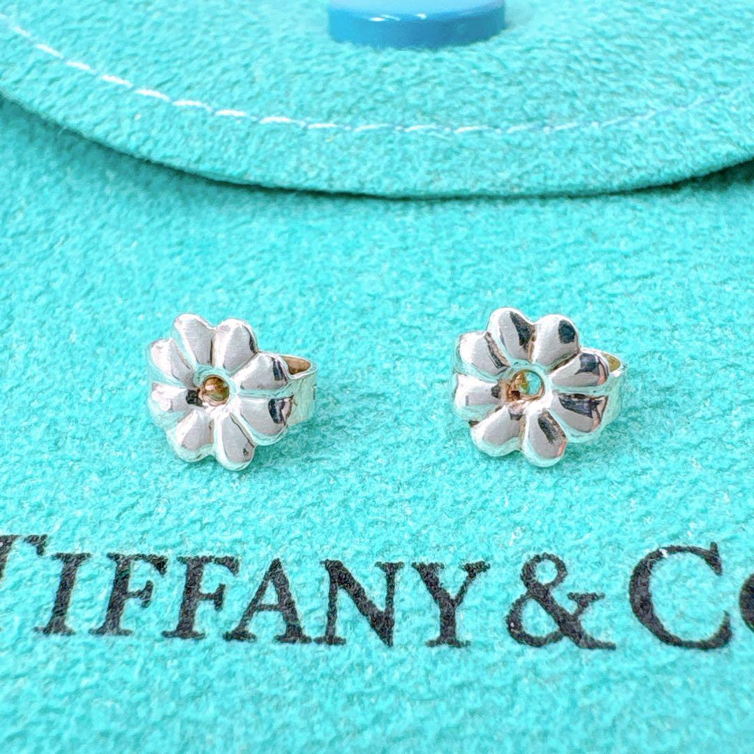 Tiffany & Co Star Drop Earrings In 925 Silver