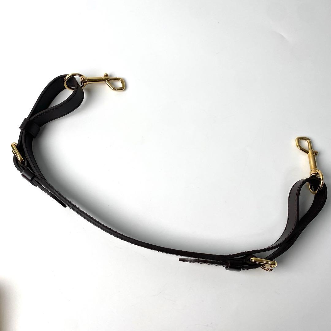 Louis Vuitton Damier Trevi PM