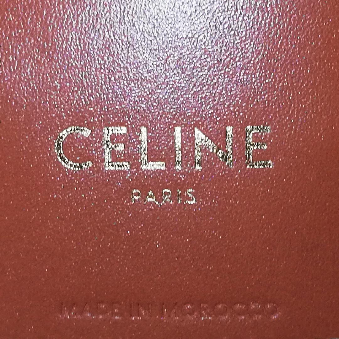 Celine Trio Raffia Tote — view 5