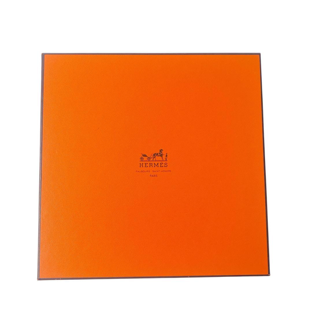 Hermes Carre 90 les Perroquets