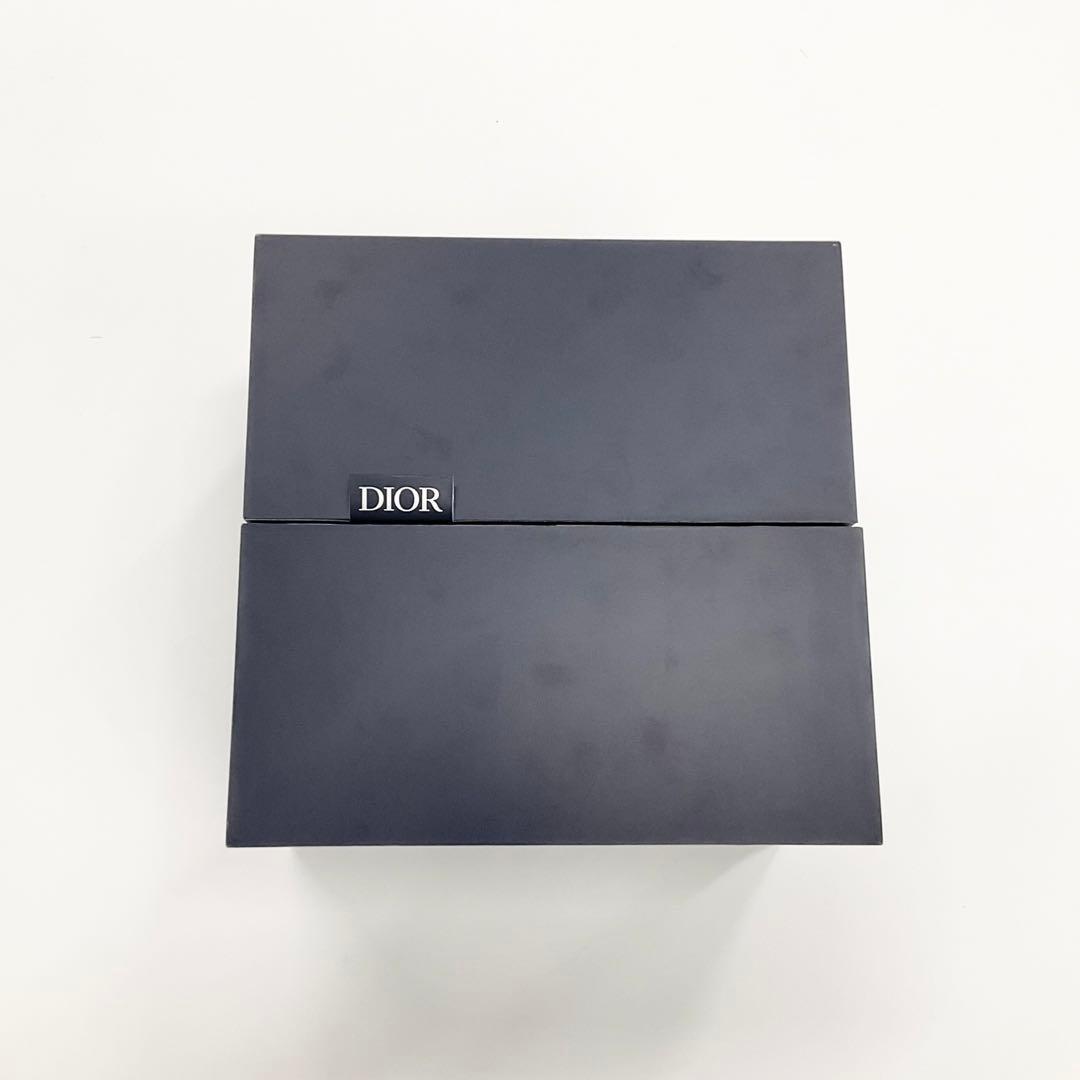 Dior CD Icon Chain Link Necklace
