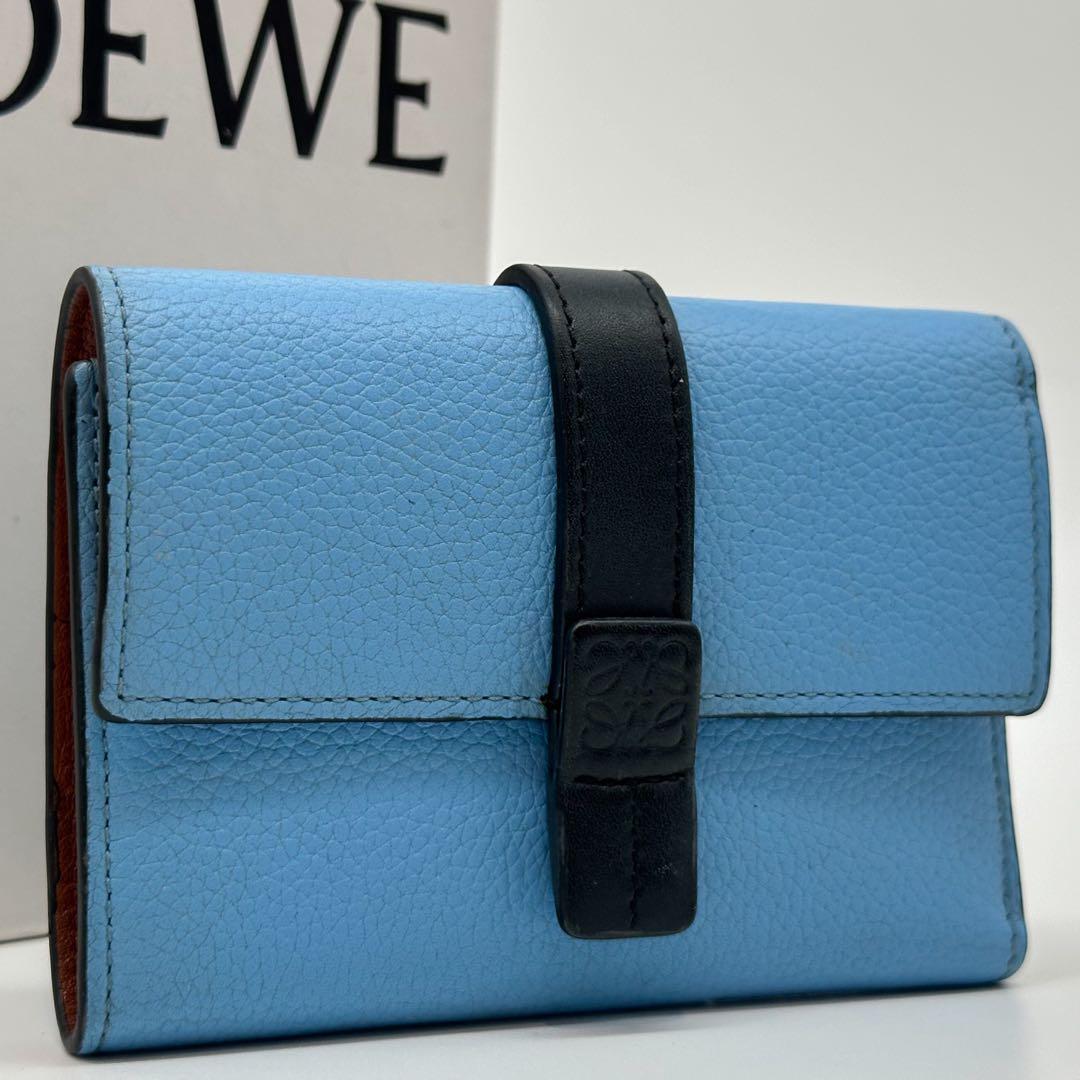 Loewe Limited Vertical Wallet Small Compact