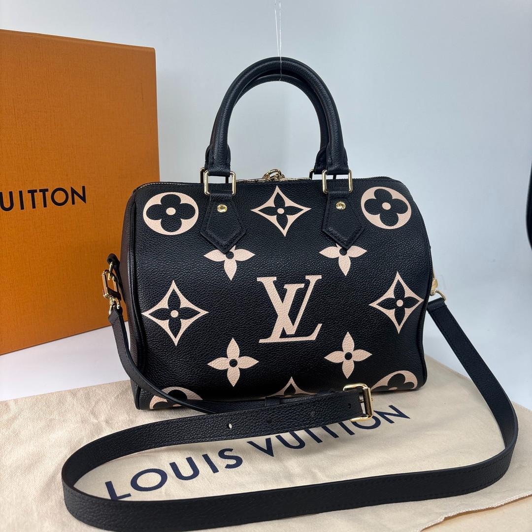 Louis Vuitton Monogram Empreinte Speedy 25 Handbag — view 5