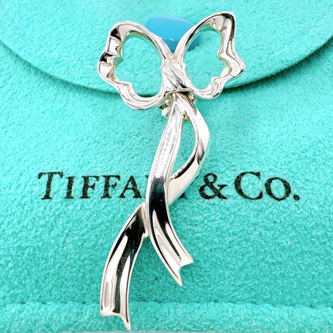Tiffany & Co Ribbon Swing Earrings Catch Outside Silver