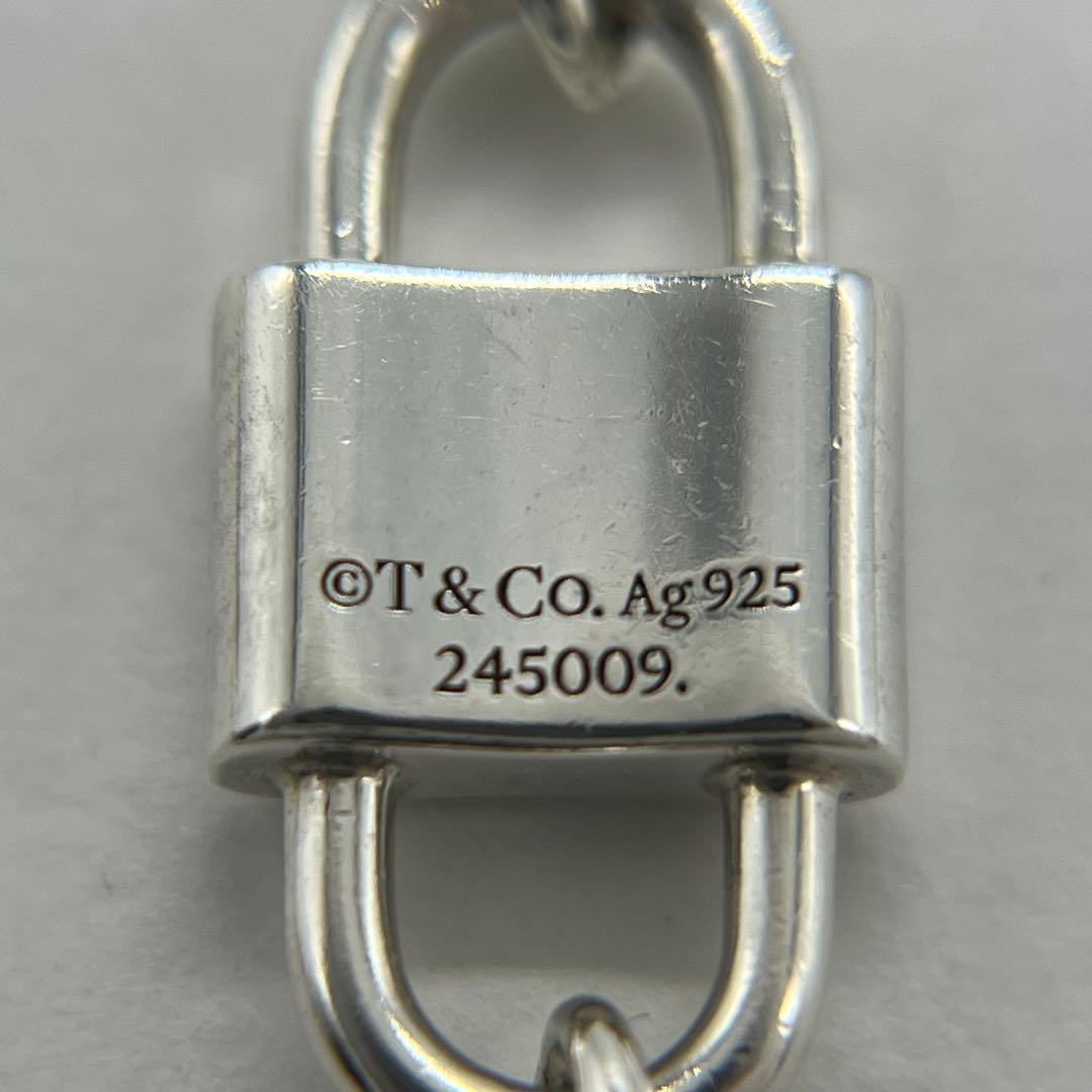 Tiffany & Co Small Double Lock Necklace