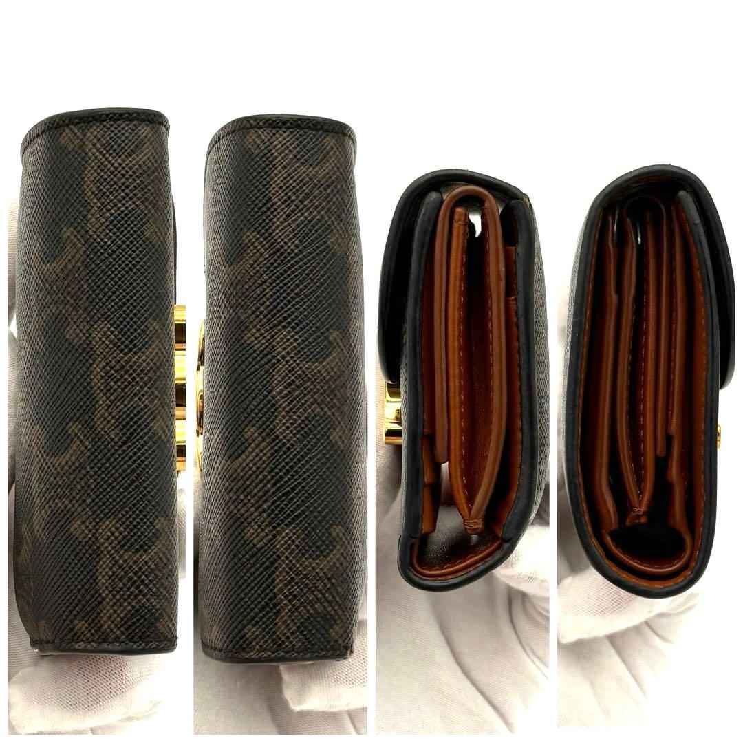 Celine Wallet Triomphe All Over Pattern Small Flap Black — view 9