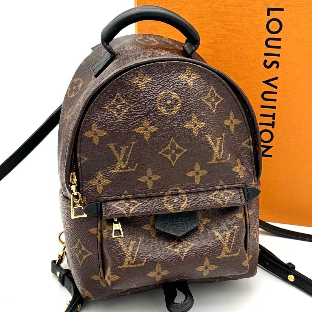 Louis Vuitton Monogram Palm Springs Backpack Mini