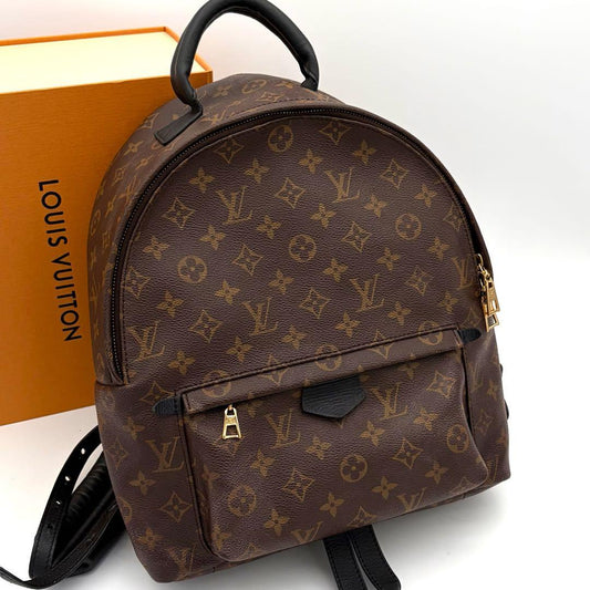 Louis Vuitton Backpack Palm Springs MM