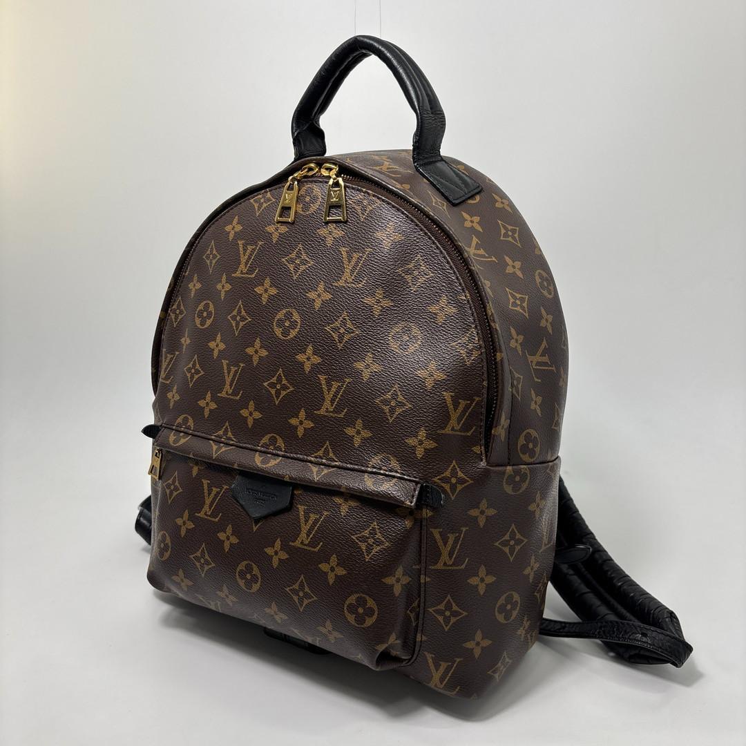 Louis Vuitton Monogram Palm Springs MM Backpack — view 2