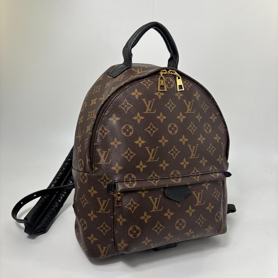 Louis Vuitton Monogram Palm Springs MM Backpack — view 3