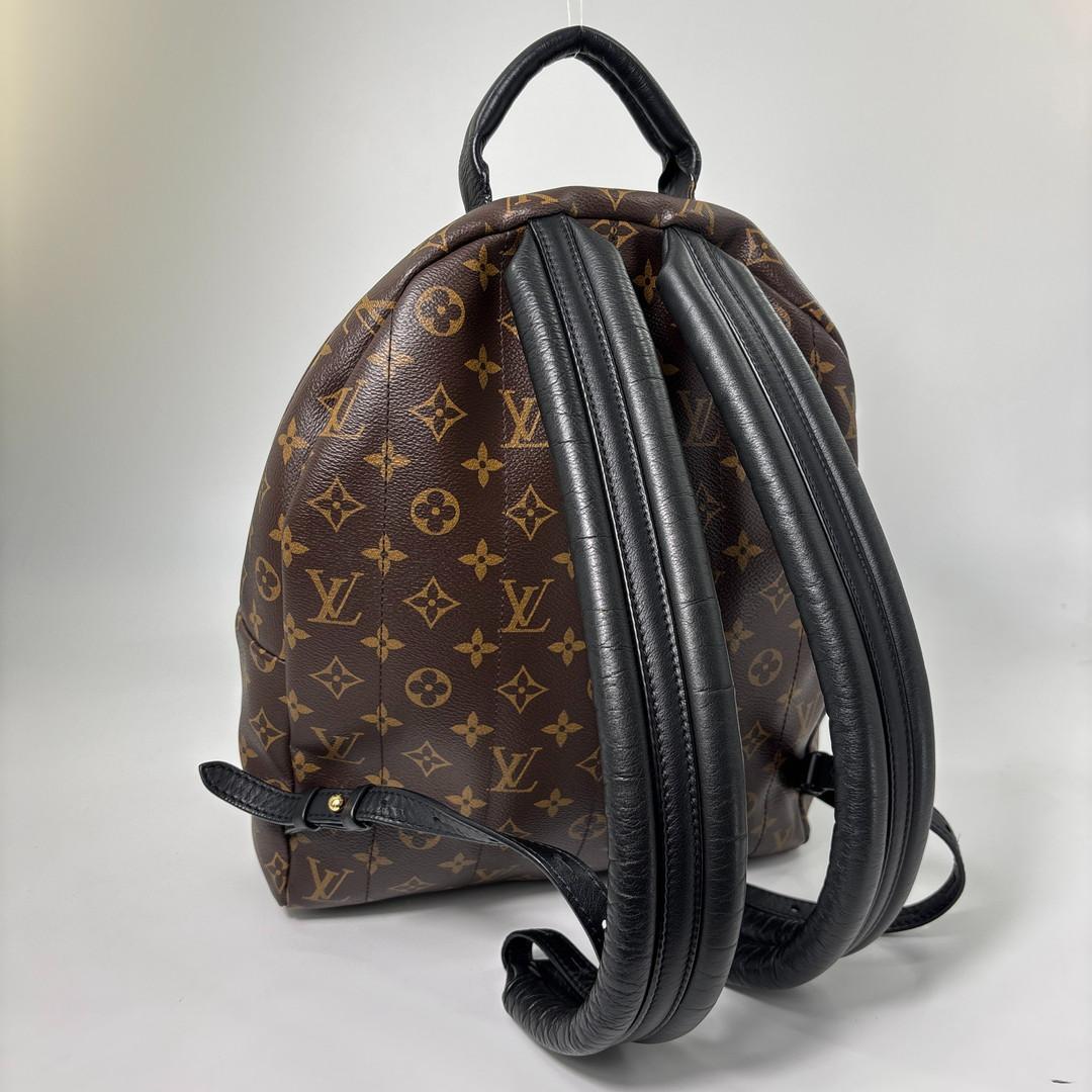Louis Vuitton Monogram Palm Springs MM Backpack — view 5