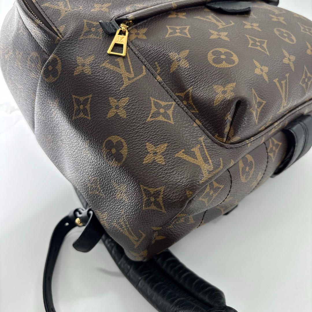 Louis Vuitton Monogram Palm Springs MM Backpack — view 7