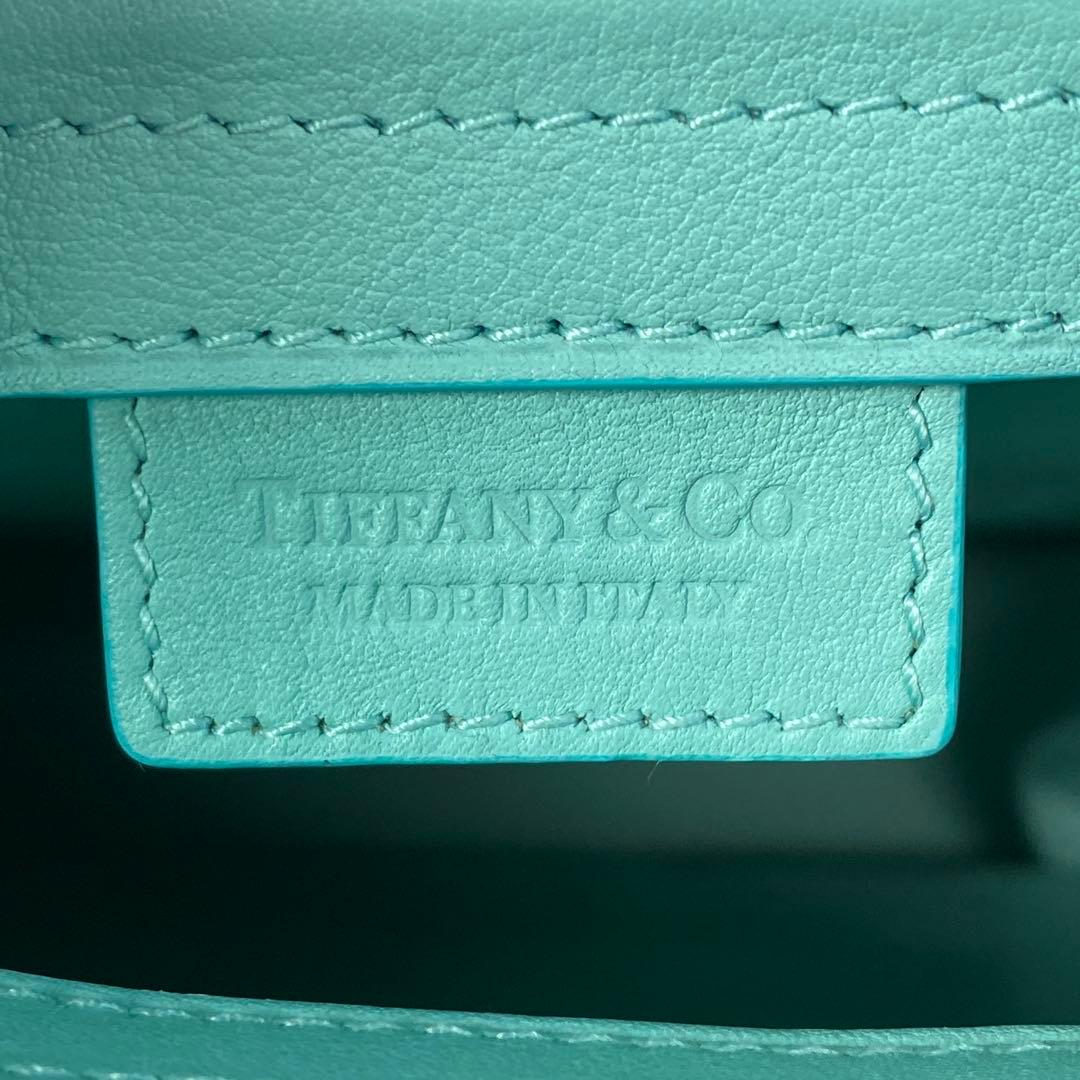 Unused Tiffany Cat Street Small Shopping Tote Leather