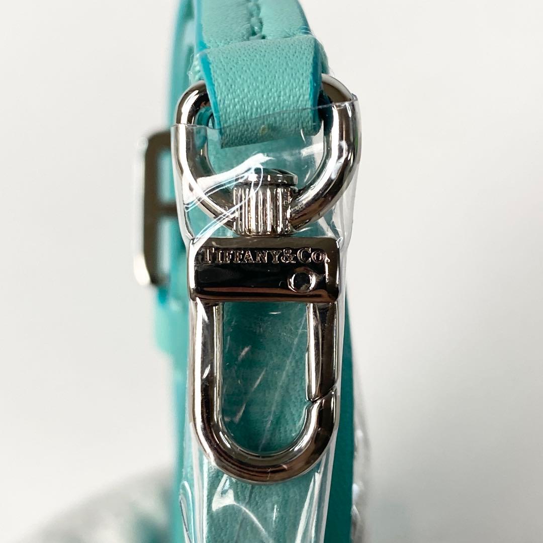 Unused Tiffany Cat Street Small Shopping Tote Leather