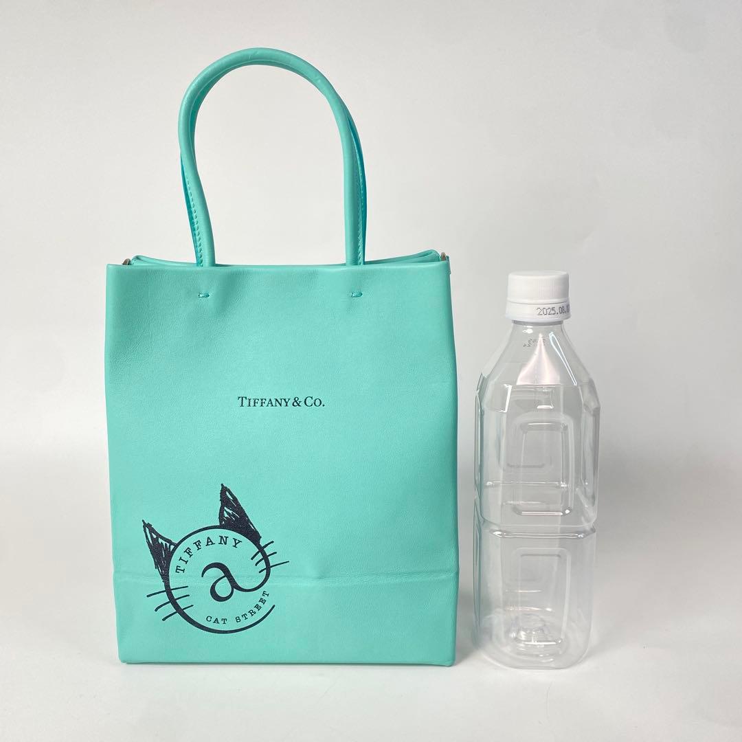 Unused Tiffany Cat Street Small Shopping Tote Leather