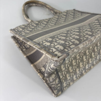 Ultra Christian Dior Book Tote Medium Trotter Gray