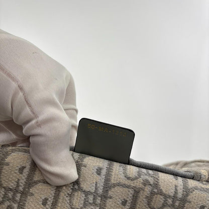 Ultra Christian Dior Book Tote Medium Trotter Gray