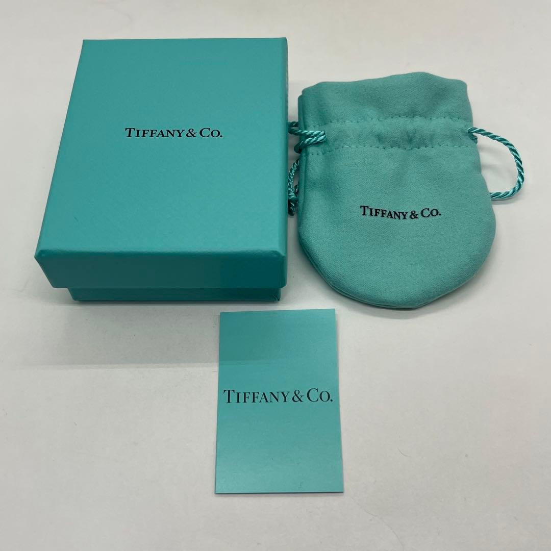 Tiffany & Co Infinity Earrings