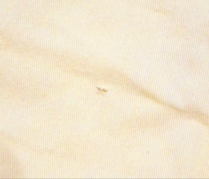 Louis Vuitton Storage Bag Pegase Size Carry Bag Size