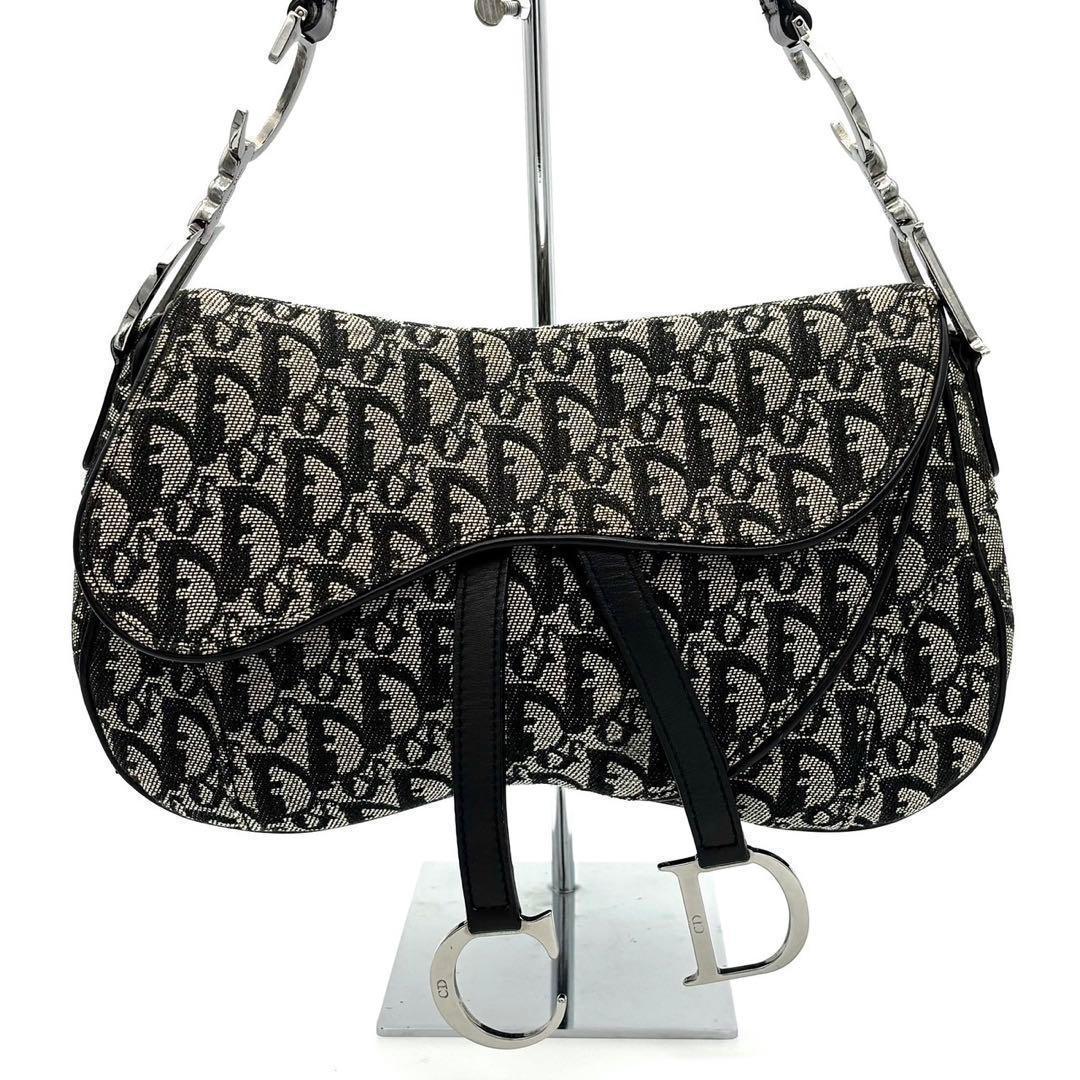 Dior Trotter Double Saddle Bag Gray