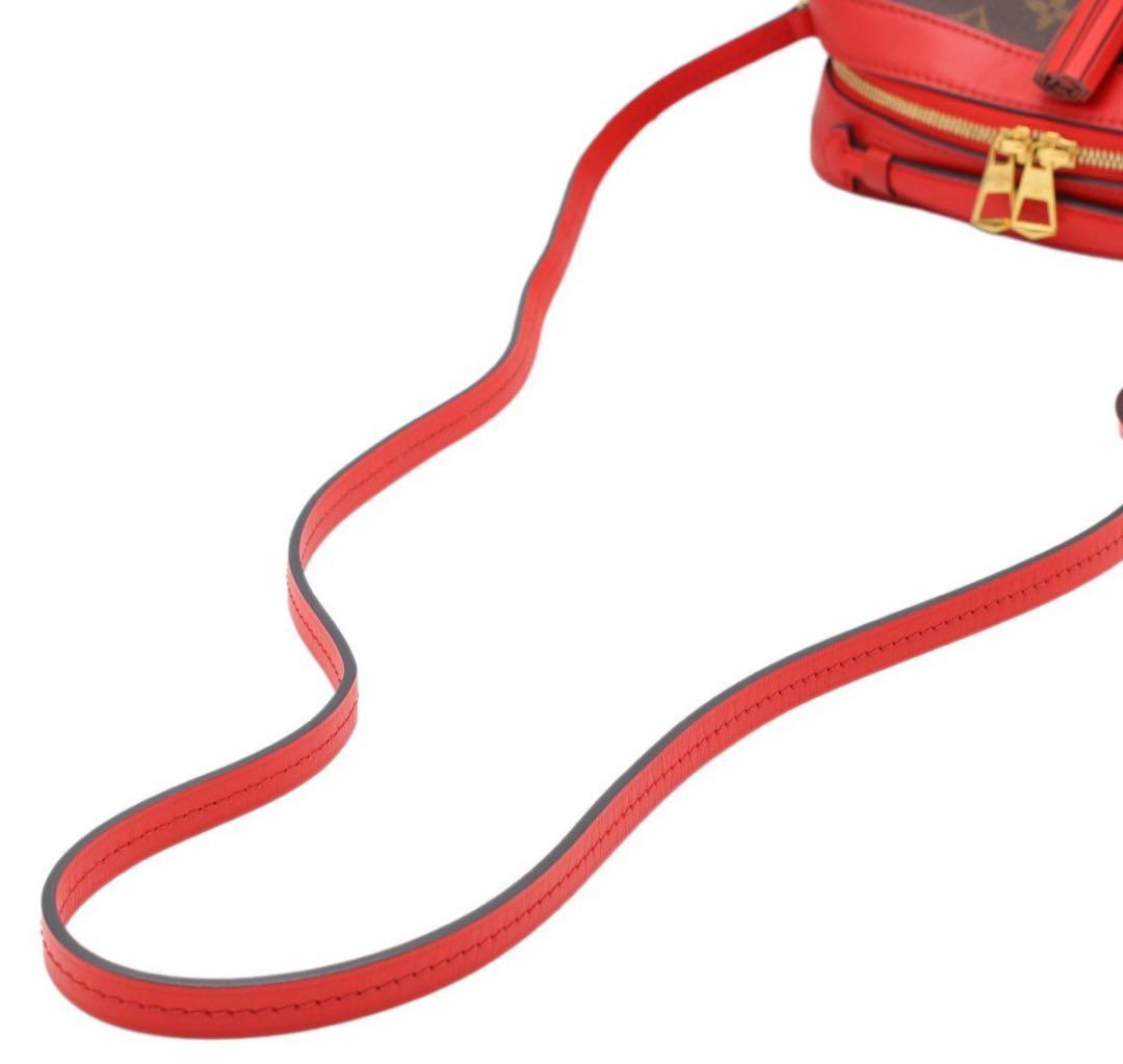 Louis Vuitton Monogram Saintonge Shoulder Bag