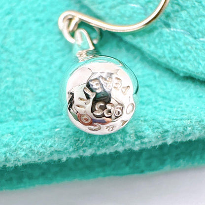 Tiffany & Co Teardrop Hook Earrings In 925 Silver