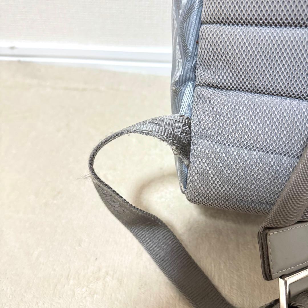 Dior Backpack CD Diamond Gray — view 5