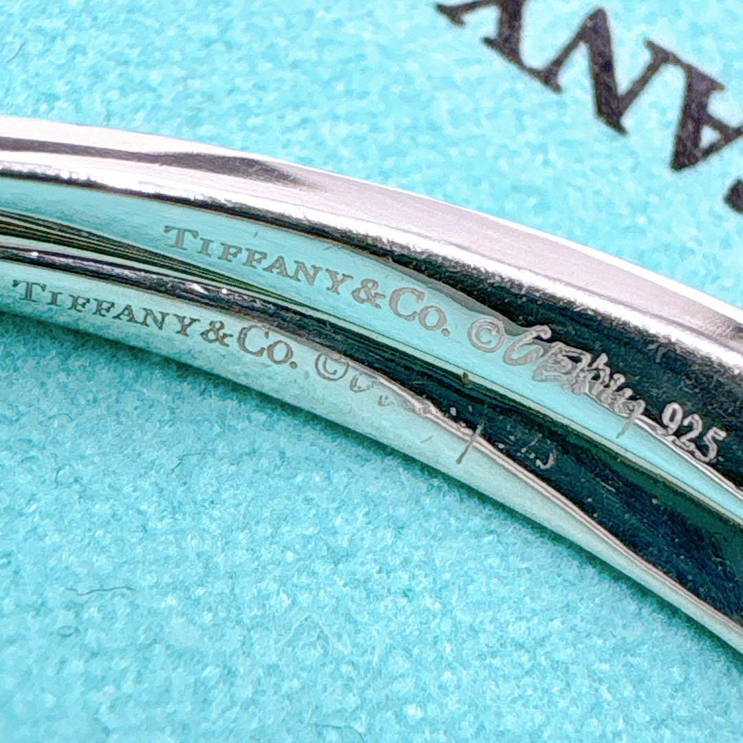 Tiffany & Co Frank Gehry Torque Large Earrings In Silver