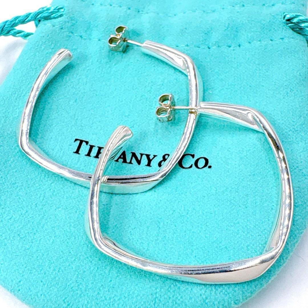 Tiffany & Co Frank Gehry Torque Large Earrings In Silver