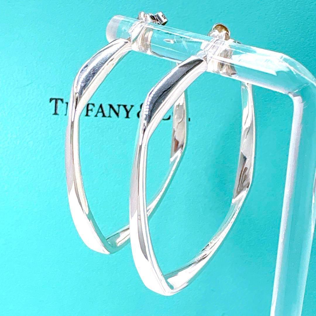 Tiffany & Co Frank Gehry Torque Large Earrings In Silver