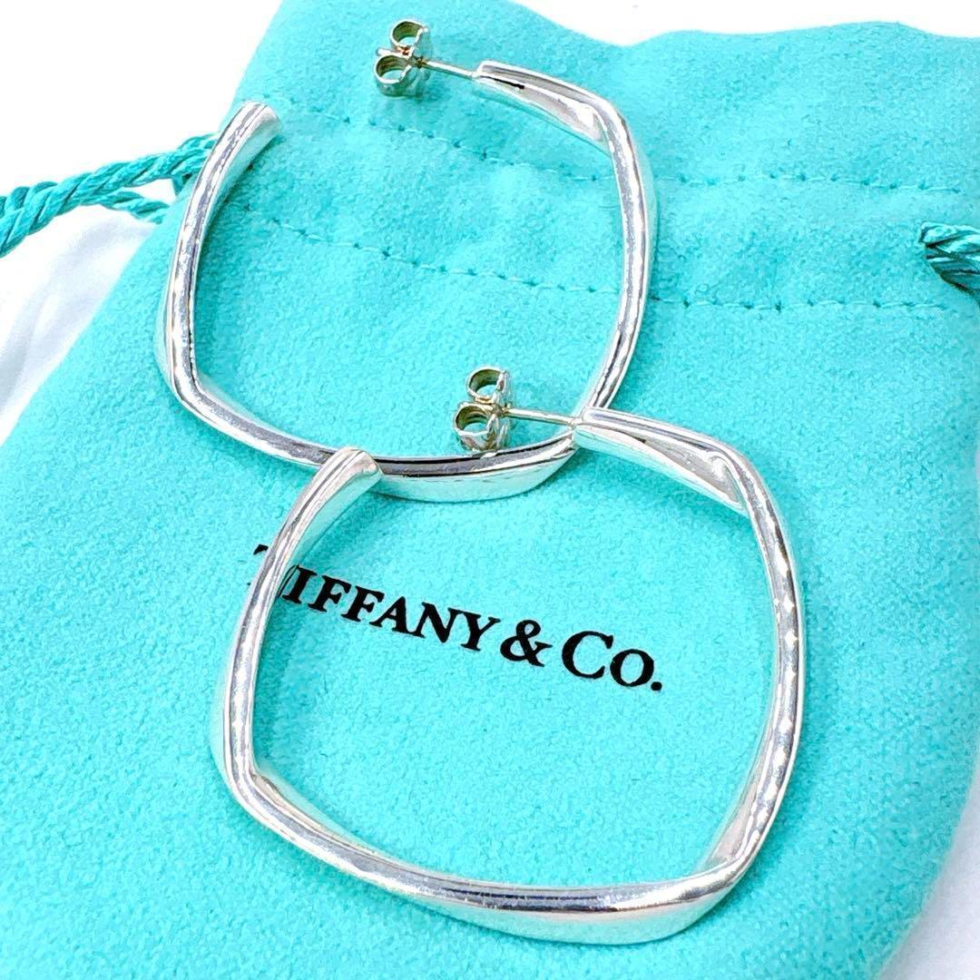 Tiffany & Co Frank Gehry Torque Large Earrings In Silver