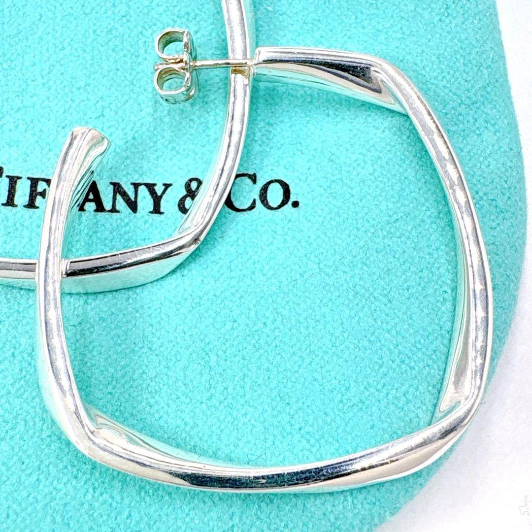 Tiffany & Co Frank Gehry Torque Large Earrings In Silver