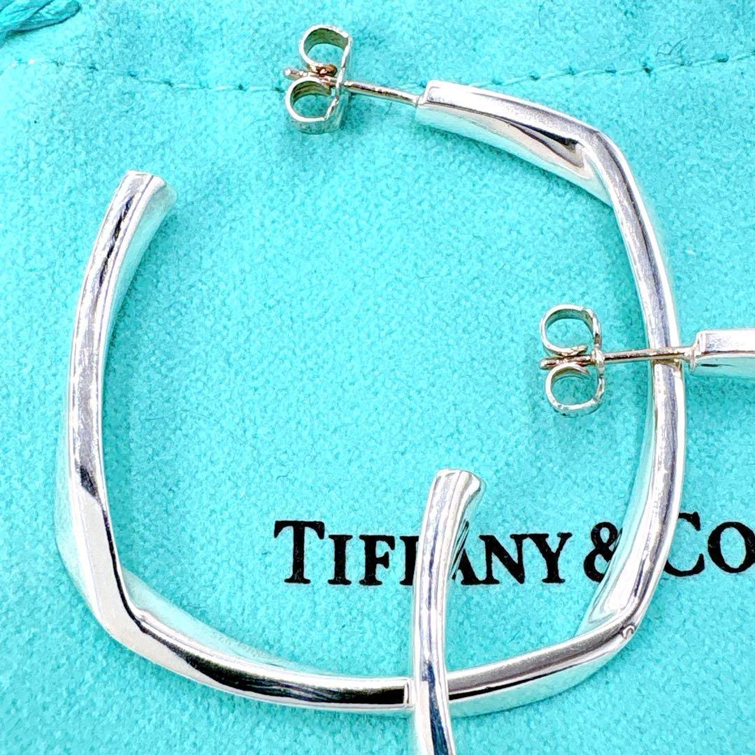 Tiffany & Co Frank Gehry Torque Large Earrings In Silver