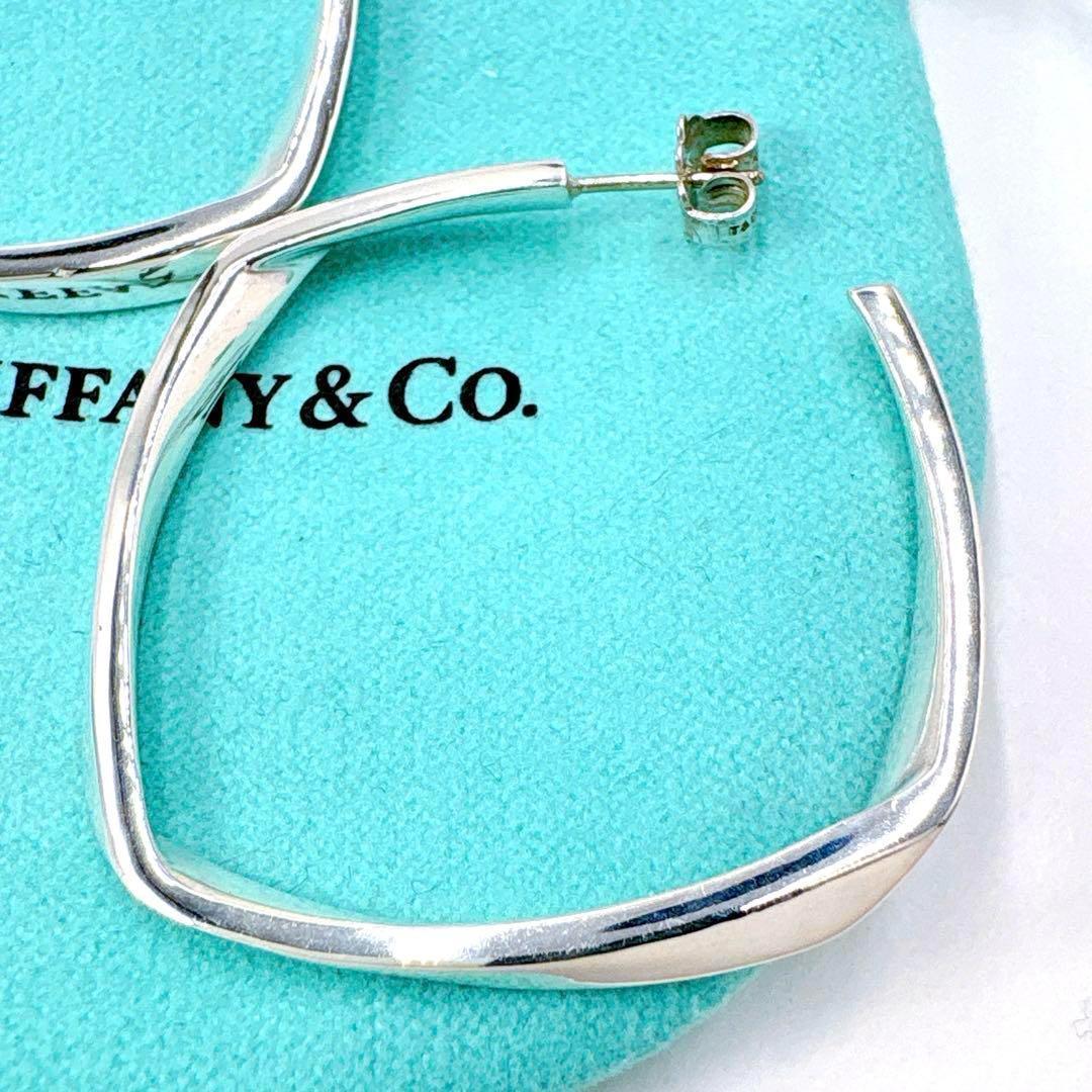 Tiffany & Co Frank Gehry Torque Large Earrings In Silver