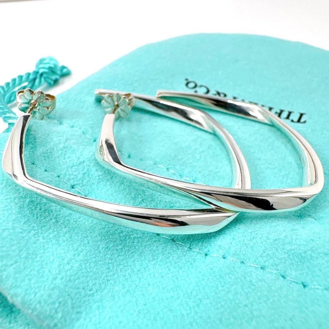 Tiffany & Co Frank Gehry Torque Large Earrings In Silver