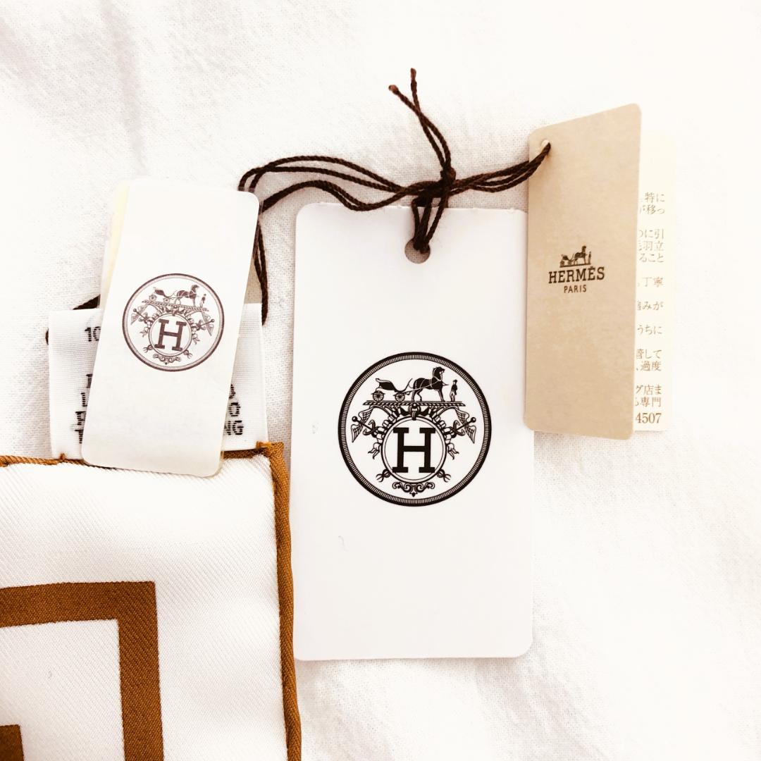 Hermes Carre Geant Double Face Morning Walk Unused