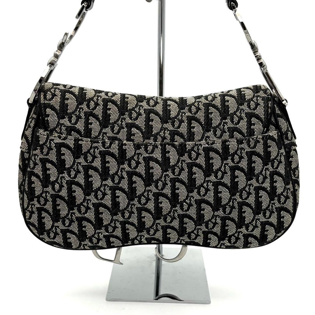 Dior Trotter Double Saddle Bag Gray — view 2